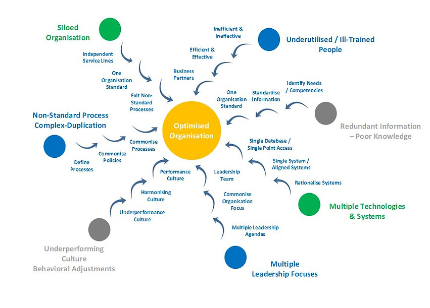 Optimised Organisation graphic.jpg