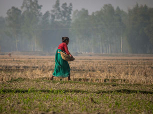 Working Against the Storm: Gender, Labor and Climate in the Caribbean