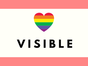 V I S I B L E 
