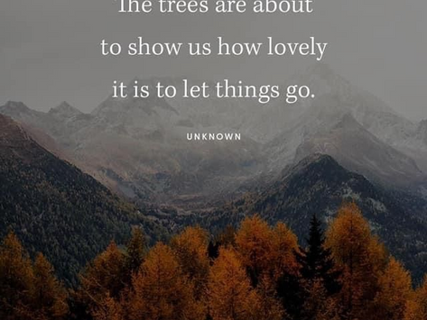 Letting go...