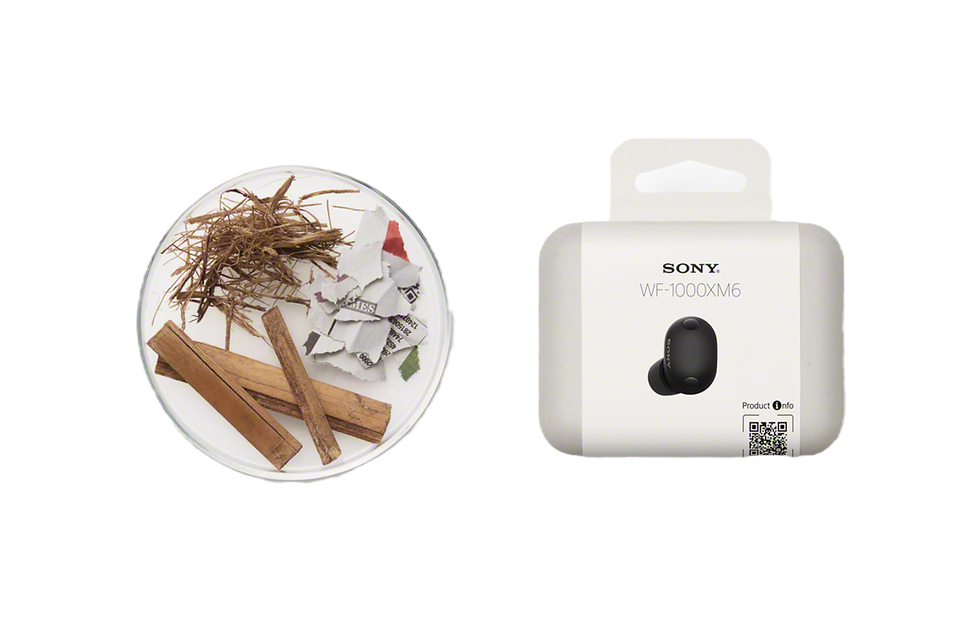 Thumbnail: 1000X series | Tai nghe chống ồn không dây WF-1000XM6