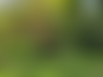 The Acre of Correction is nearly finished!