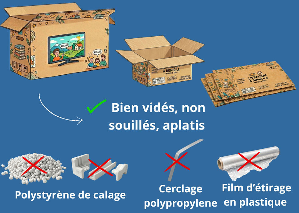 CARTONS (5)_edited.jpg