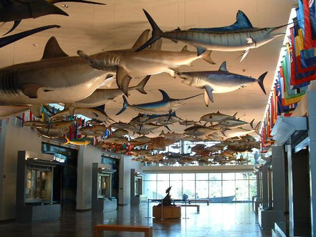IGFA Hall of Greats