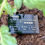 Thumbnail: Outdoor Plant Tag