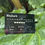 Thumbnail: Outdoor Plant Tag