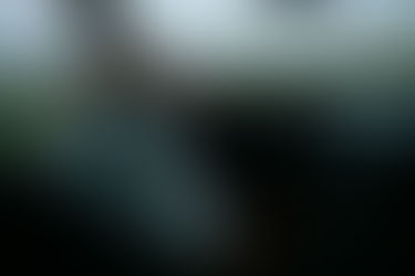 Descubriendo la amaxofobia: un viaje hacia la superación del miedo al volante