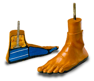 Jaipur foot