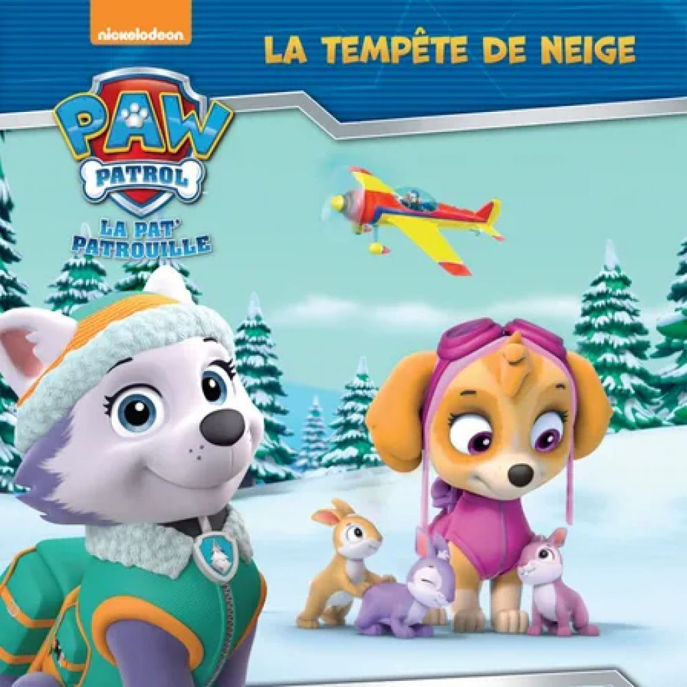 Tempête de neige - La Pat'Patrouille