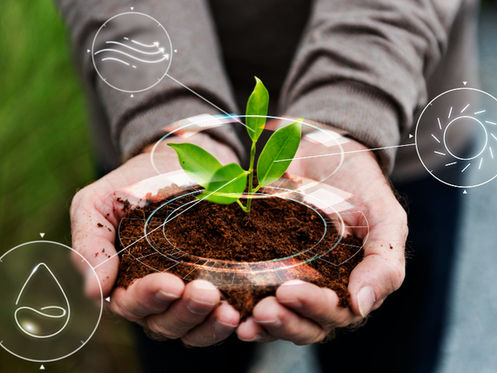 Mãos segurando muda com gráficos tecnológicos – conceito de inovação sustentável e biomimética