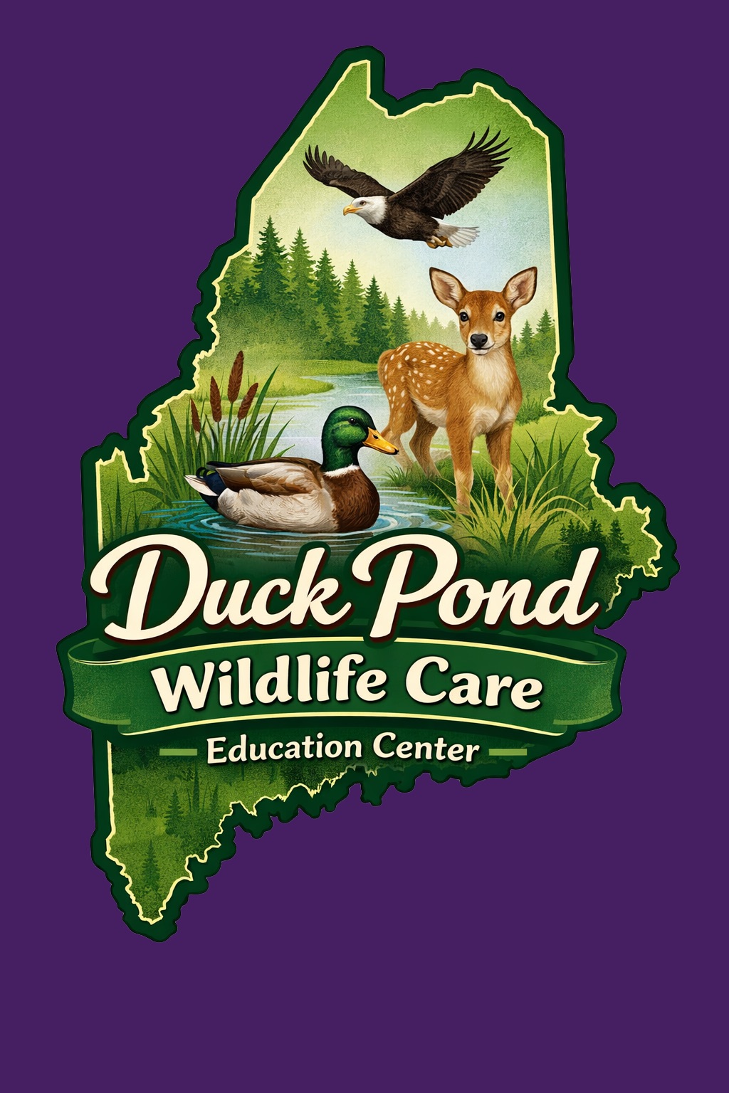 Writer: kqduckpondwildlife