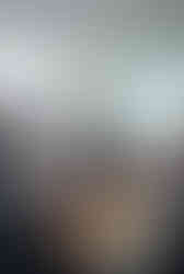 Business Meeting With International Colleagues