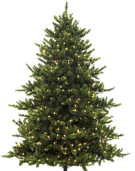 Decorated Christmas Tree_edited.png