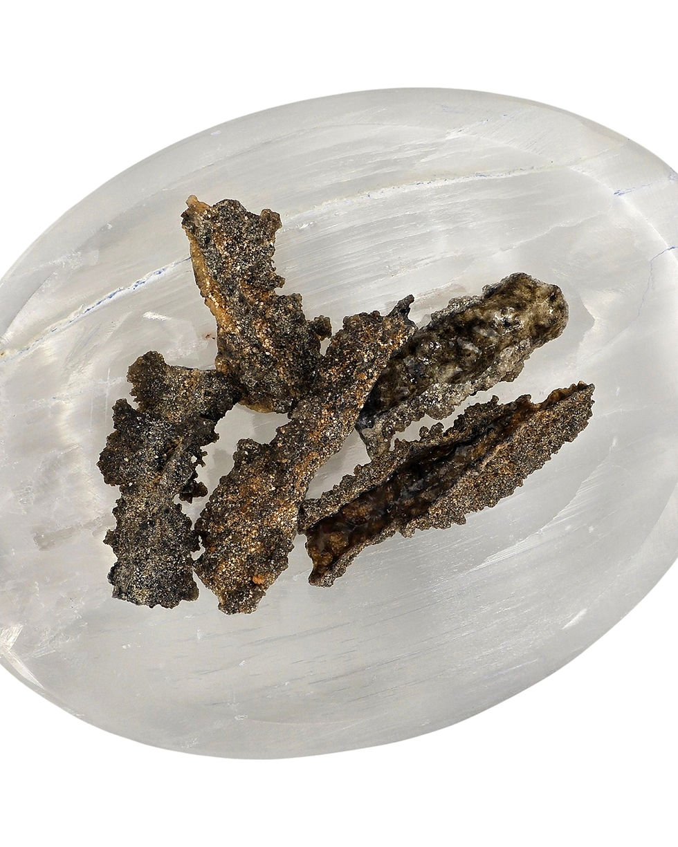 Fulgurite "Petrified Lightning"