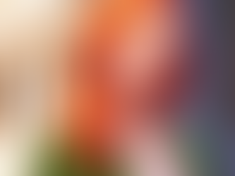 Capa da Light Novel Selena Krude: Toxinas E Doenças - Capítulo 11 - Temporada 1