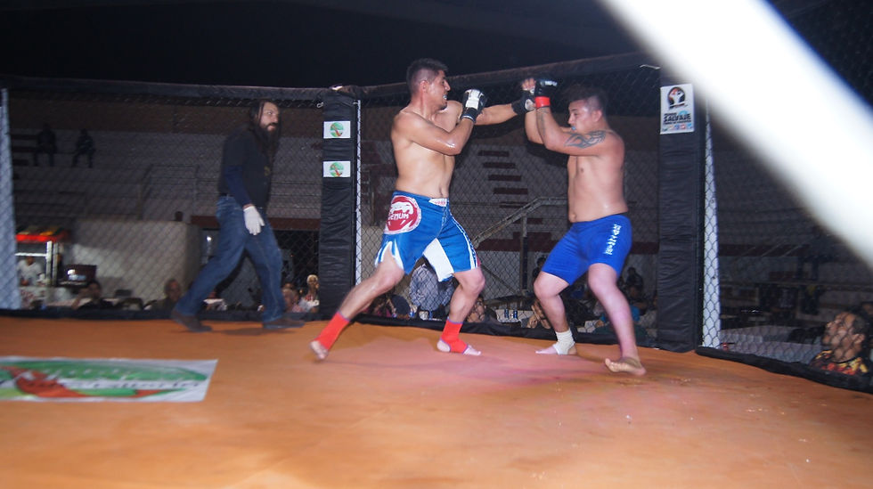 Rojo RamÃrez Vs. Pantera Minaya