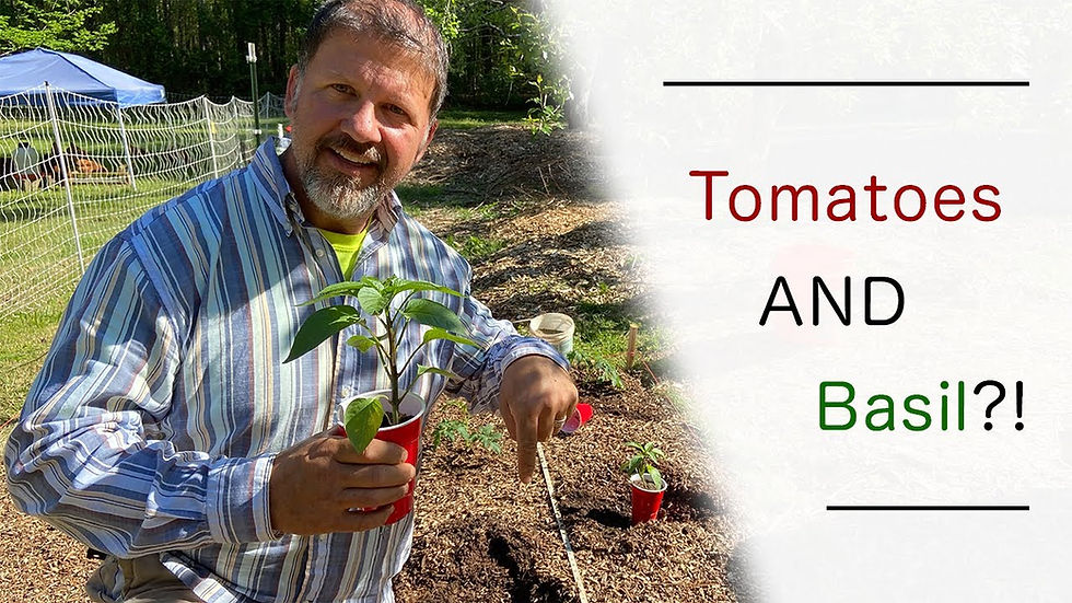 How to plant in a Back to Eden Garden