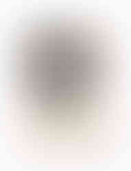 milieuvriendelijke kaart Sammy ray