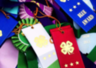fair-ribbons.jpg
