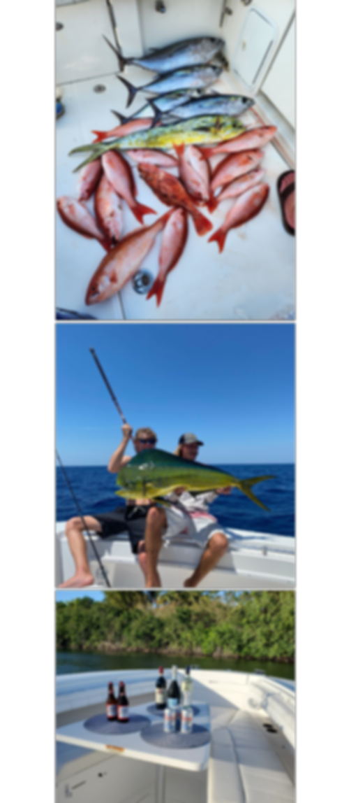 GOFISH-CHARTER (1).png