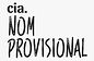 cia nom provisional.jpeg