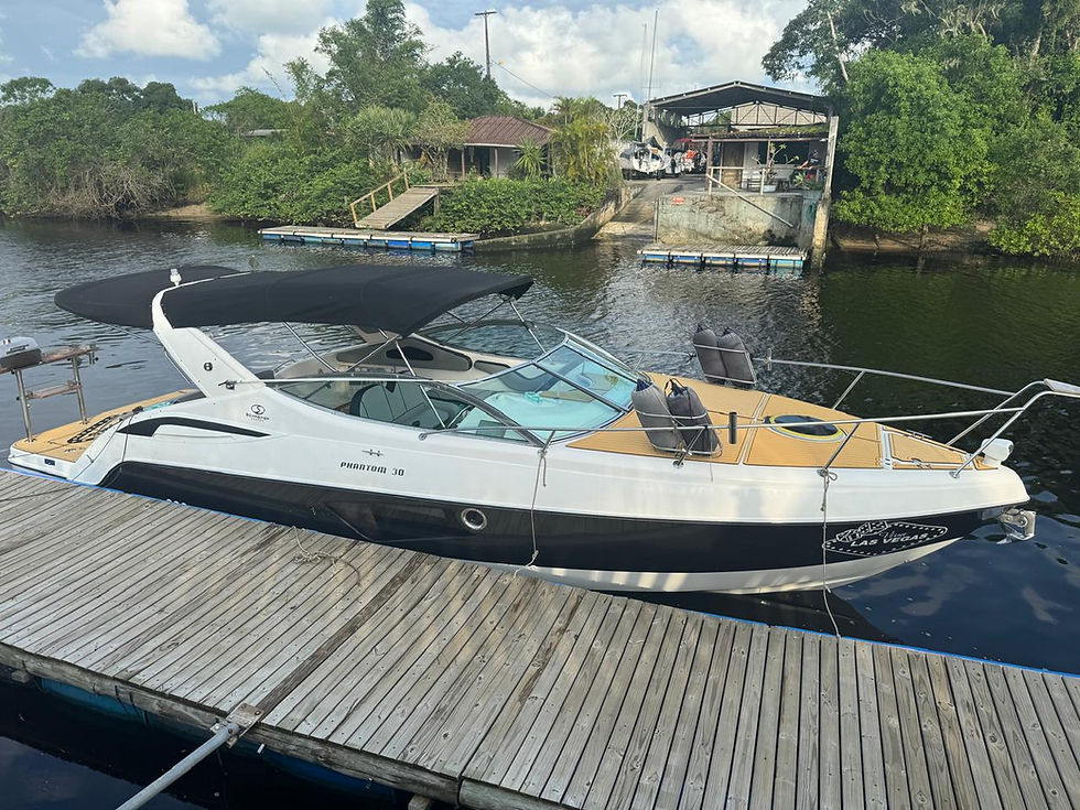 Miniatura: Phantom 290/300 (2003) com Mercruiser 320 HP (2021) Revisado