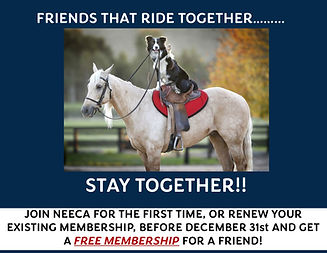 Membership Special 2025.jpg