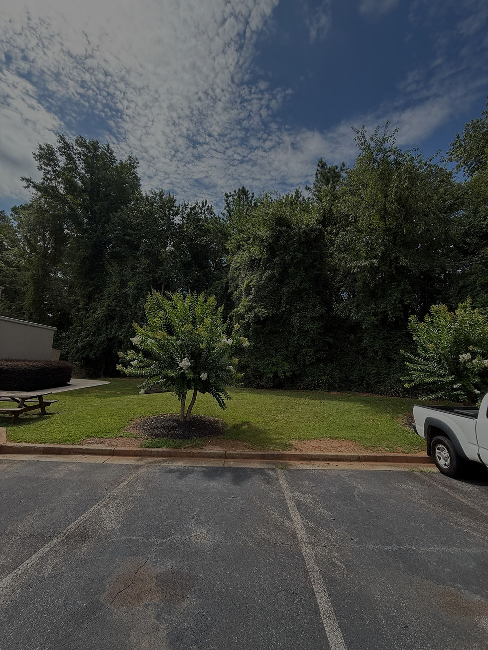 lot after mulching and grading with new landscaping