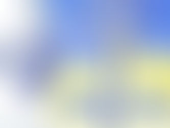 Arquidiocese de São Luís prepara festa de acolhida do novo arcebispo