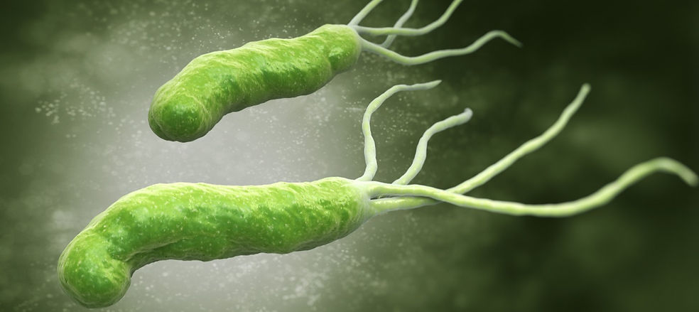 באנר חדש אלעד (2)_edited.jpg