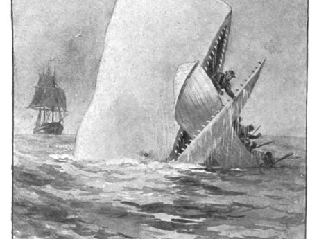 Great White Whale