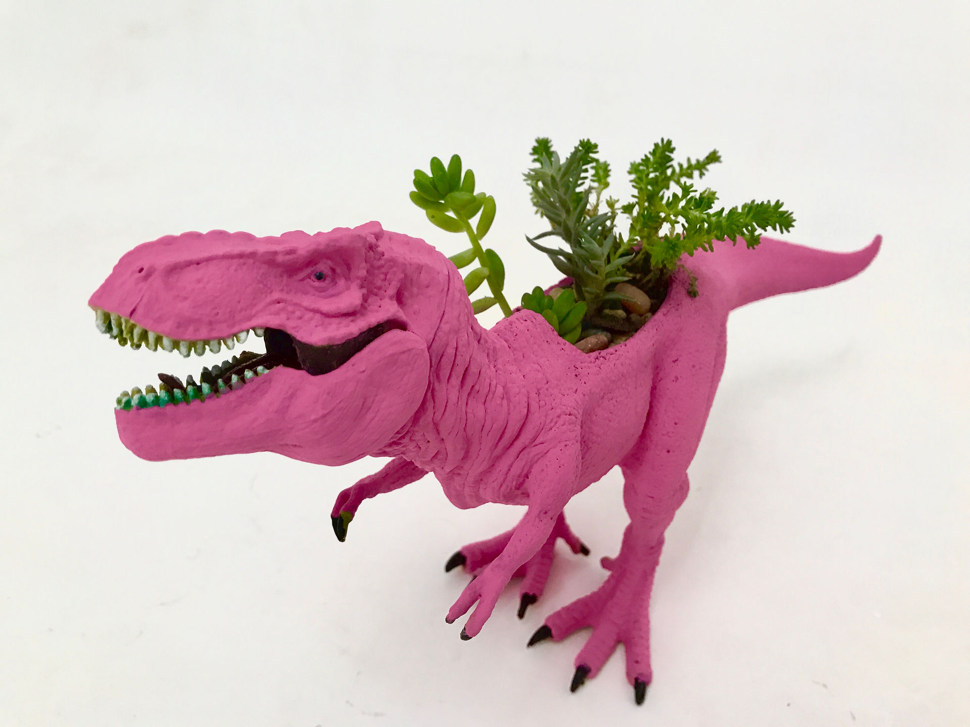 Studio11_BrooksSarahSucculentsaurusRex-5944618d22f79