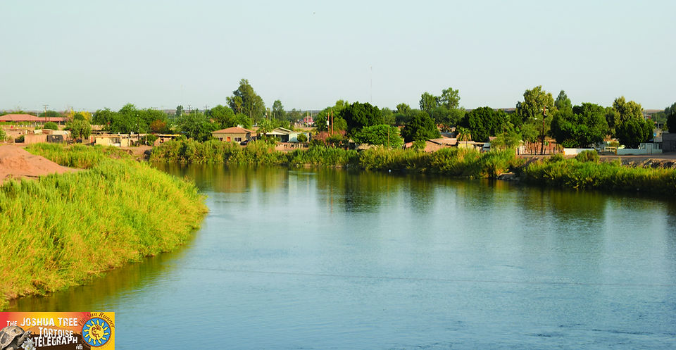 Image00043