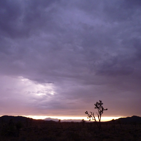 Action alert: Defend environmental protections for national parks & NEPA