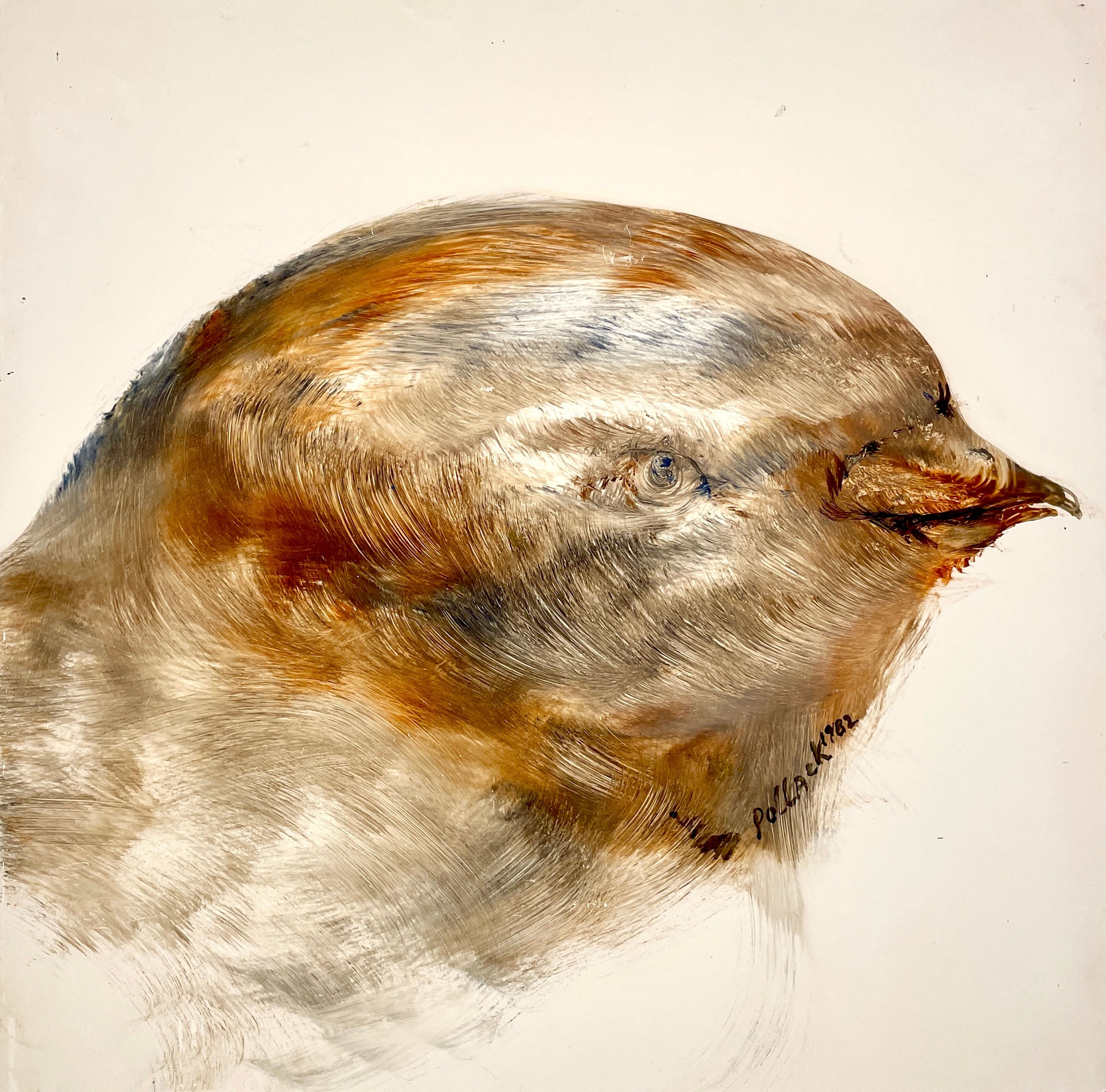 Winter Bird