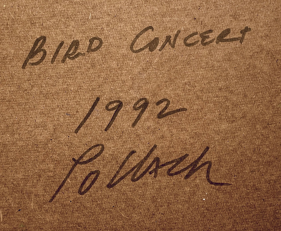Thumbnail: Bird Concert