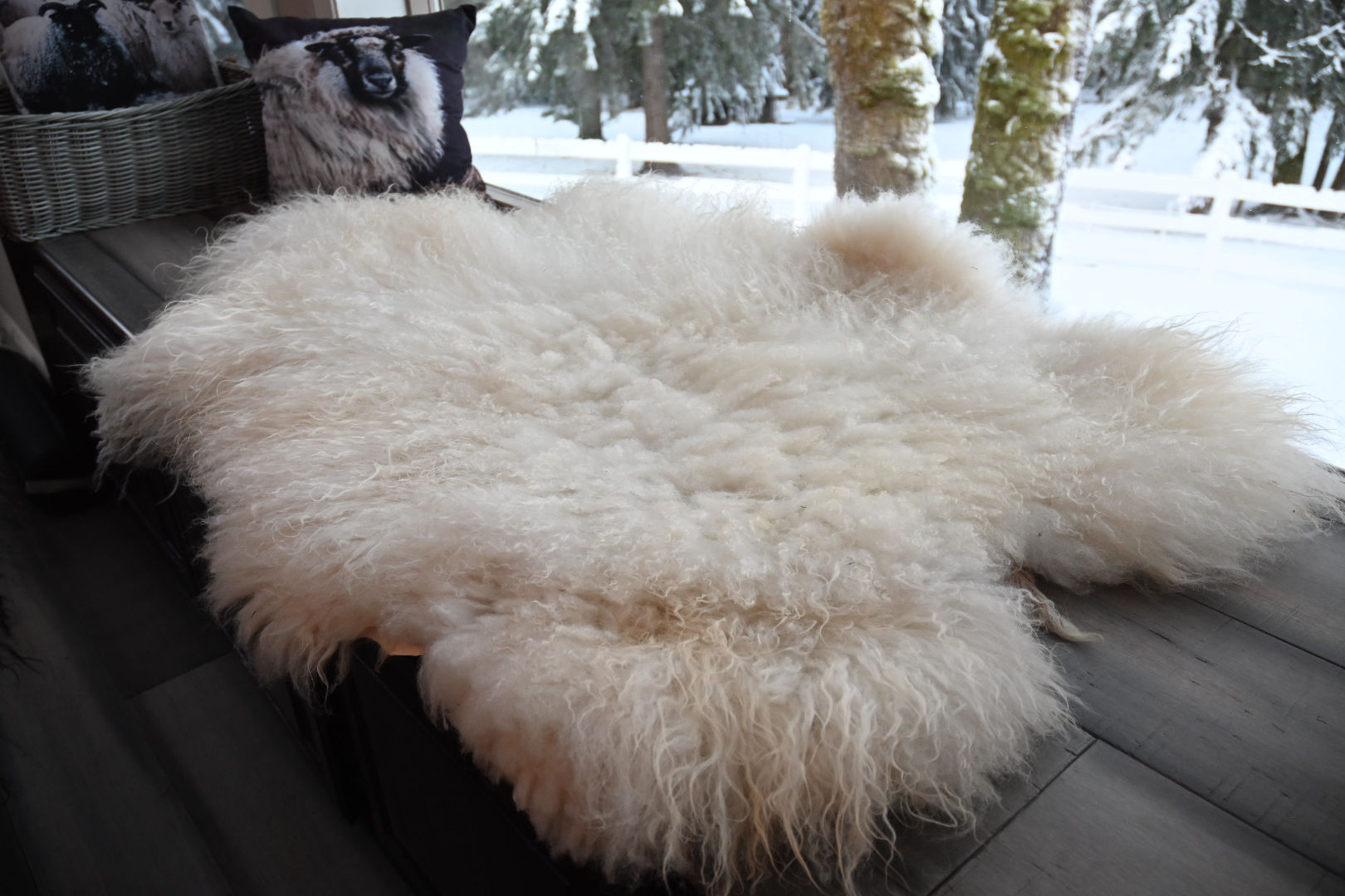 White lamb Sheepskin