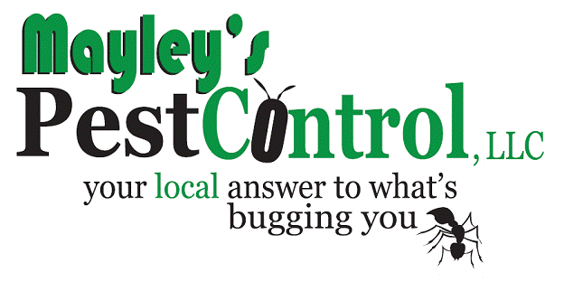 Dave Mayley - Mayley's Pest Control