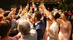 wedding party image.jpeg