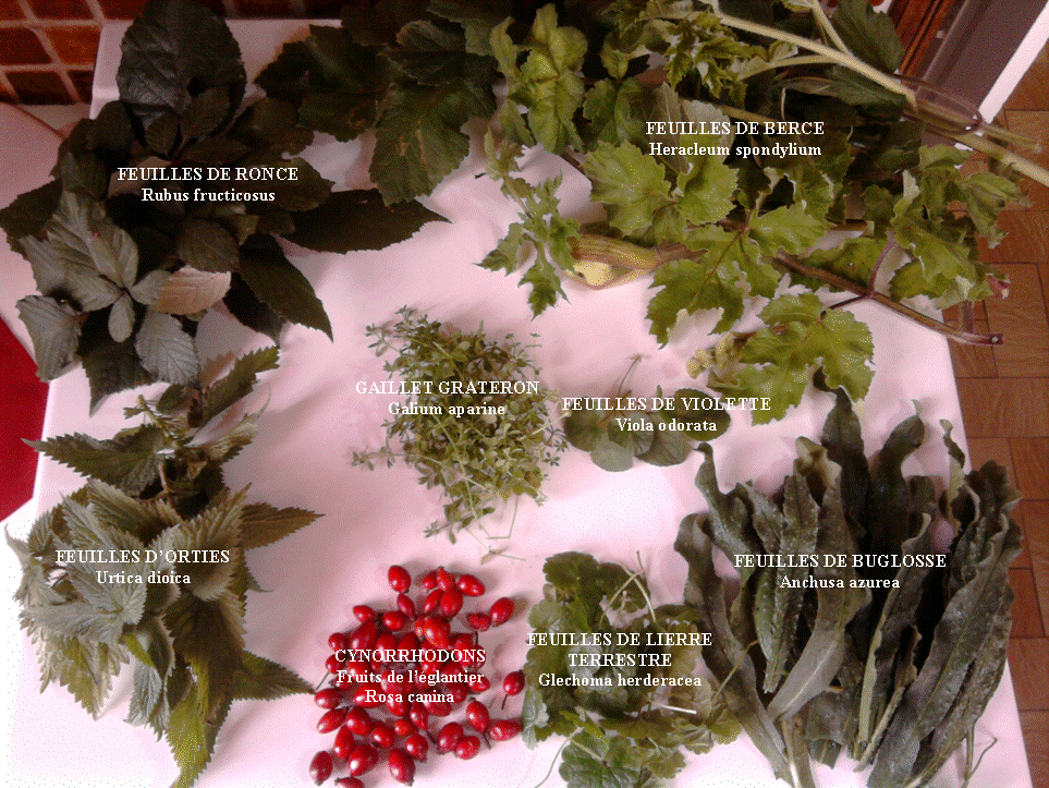 composition recolte en image.gif