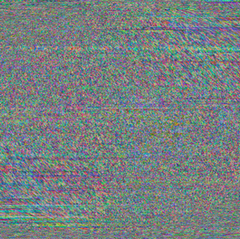 Disrupting Disruption: Metamorphosis of Perception through Noise