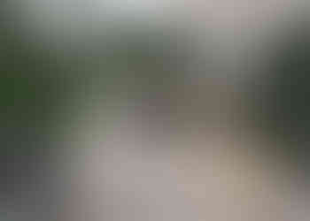 Porcelanato slisptop Bodo beige