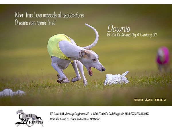 McNamer Annual 2025 page1.jpg