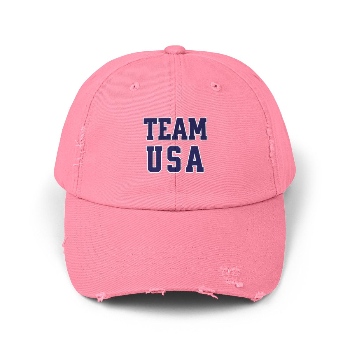 Team USA 2 Distressed Cap