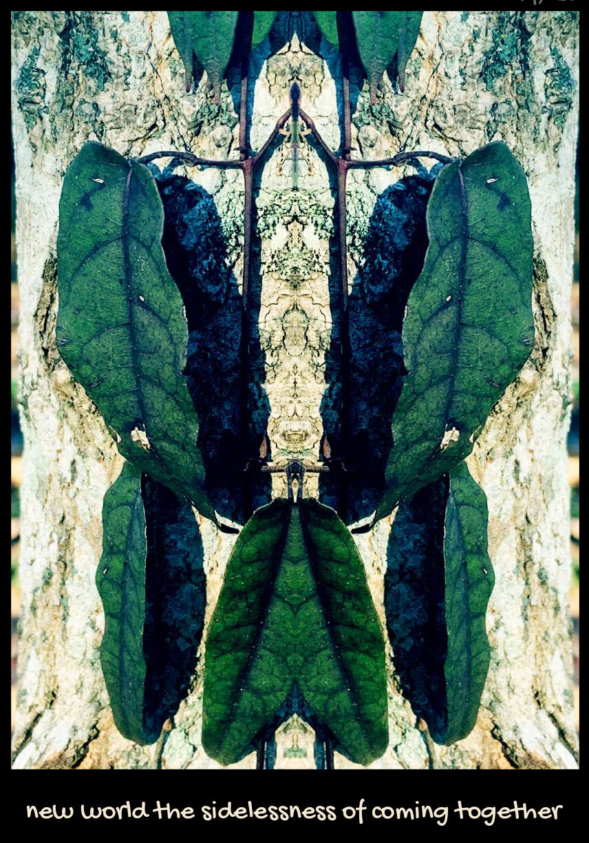 Terri L. French