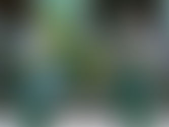 Adzkia Sehat : Generasi Kuat, Generasi Hebat!