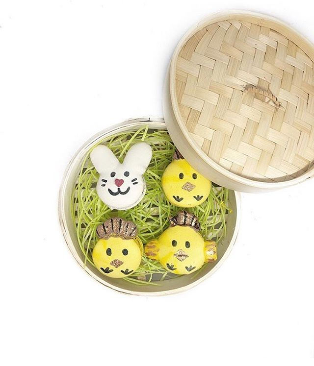 Happy Easter! 🐣🐰#easterweekend #stayho