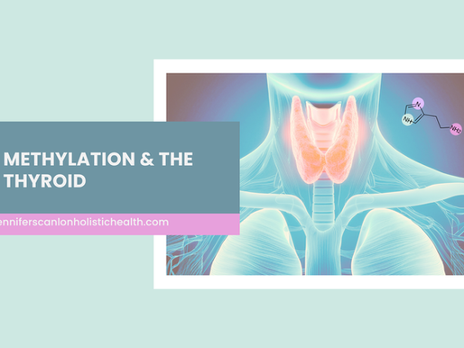Methylation & Thyroid