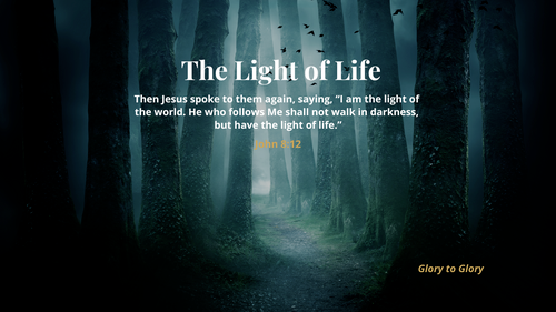 The Light of Life