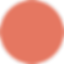 Untitled-1-copy_0000s_0004s_0000__Ellipse_.png